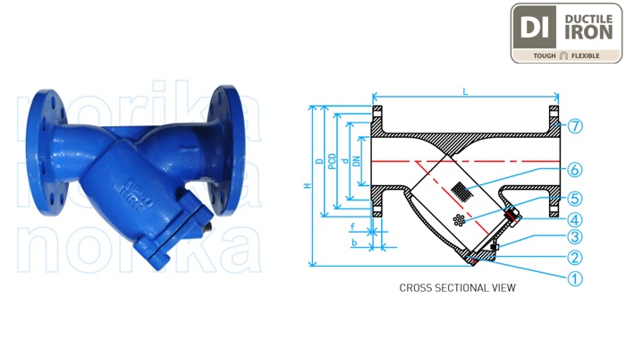 Epoxy-Coated Ductile Iron Flange End PN16 Y Strainer